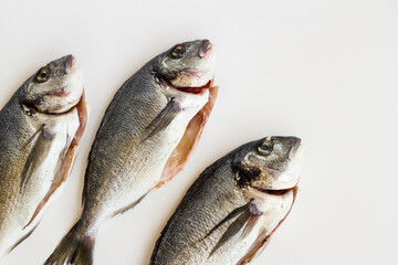 Three,uncooked and cleared sea bream fish on white surface with copy space,top view