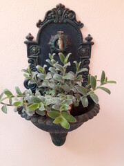 Dekoracja z rośliną na murze, Italy.