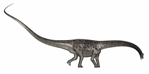Diplodocus dinosaur walking isolated in white background - 3D render © Elenarts