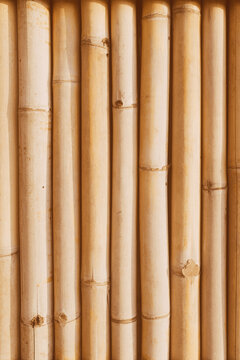 Bamboo Natural Background