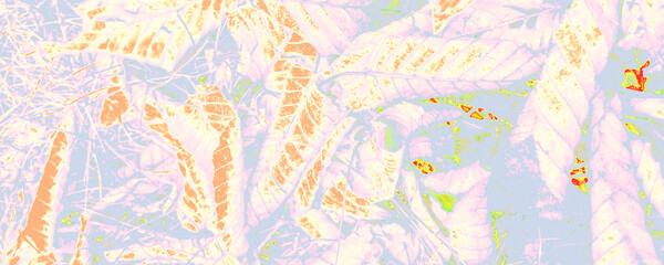 Obraz premium Pastel Plant Banner. White Flora Decoration. Pink Silky Texture. Blue Fashion Element. Orange Sunrise Image. Bright Multicolor Illustration. Pink Abstract Design.