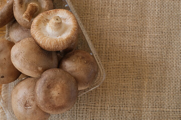 Fresh Chinese mushroom or Shitake mushroom in the plastic tray on the sackcloth. Selected focus.