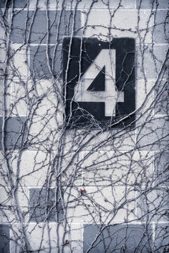 Number 4