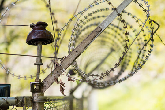 Barbed wire on iron fence and green trees