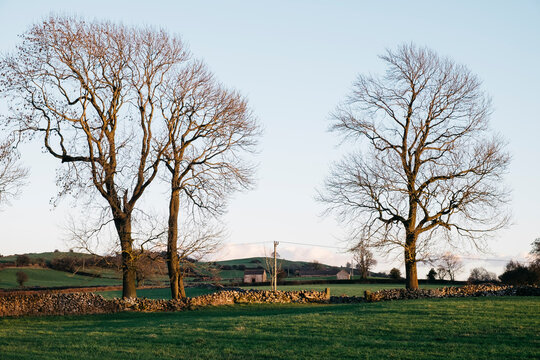 Trees and barns at sunset, above Matlock. Derbyshire, UK.