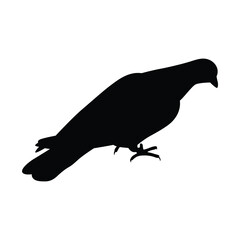 Pigeon silhouette vector