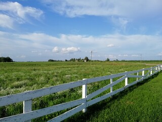 Fototapeta premium white fence and sky