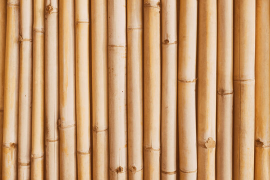 Bamboo Natural Background