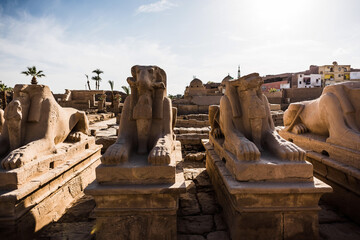 Karnak Temple Avenue of Sphinxes in the Karnak temple in Luxor, Egypt