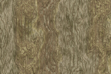 Texture of wood background