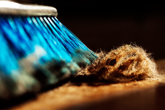 Broom and Fur Ball on Parquet