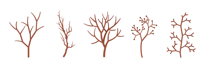 Dry tree brown branches set, natural dried decorative sticks. Organic atmosphere, floral branches for park, forest decoration, party holiday botanical ornament. Vector flat style cartoon illustration