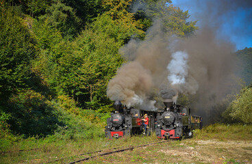 Fototapeta na wymiar Mocanita Steam Train in the Vaser Valley, Romania