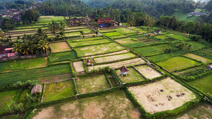 Fascinating view of ploughed fields in exotic place