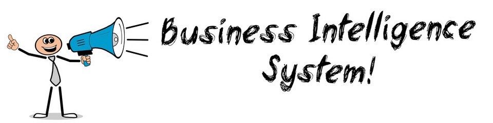 Business Intelligence System! 