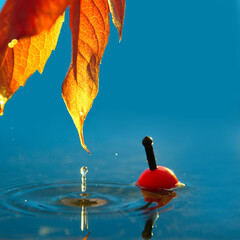 Autumn leaf and float