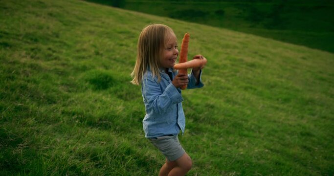A preschooler holding two big carrots is danding in a field at sunset