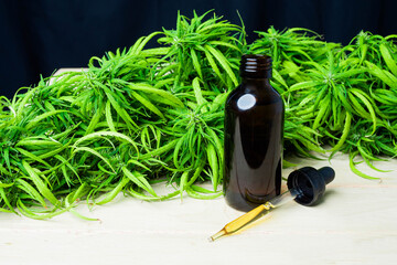 Cannabidiol oil  in a glass bottle  ,CBD oil hemp products, Cannabis  Marijuana herb and leaves for treatment, Extract from hemp oil,. Herbs, medical marijuana cannabis.