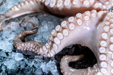 tentacles of a large octopus on ice on a black background close-up
