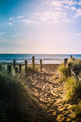 Obraz premium Long evening shadows over sandy pathway with grass reeds and wooden posts on each side leading to a beautiful sea bay