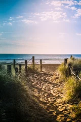 Crédence de cuisine Paysages Long evening shadows over sandy pathway with grass reeds and wooden posts on each side leading to a beautiful sea bay  © Irina B