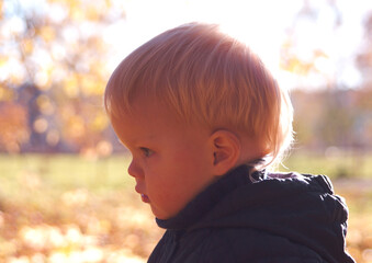 Little boy in autumn park.