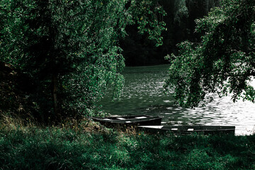 Boats on the lake in the forest. Dark forest.