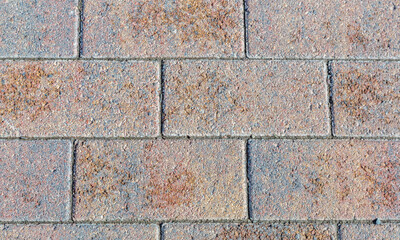 Embossed textured surface of an old wall made of facade bricks and cement