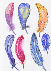 bird bright feathers pattern set background isolate white set boho watercolor fabric for bed linen