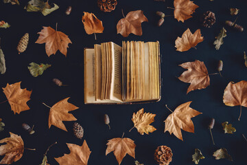 Vintage book and autumn maple leaves on dark background from above. Autumnal nature pattern and literature creative concept. Flat lay. Fall season art composition wallpaper.