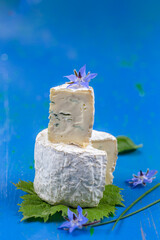 Blue cheese with wedge cut, French blue de Bresse on white background.