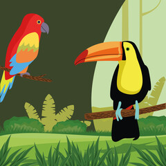 wild tropical parrot and toucan birds nature icon