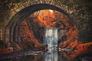 Photo sur Plexiglas Ponte Vecchio cascata d'autunno