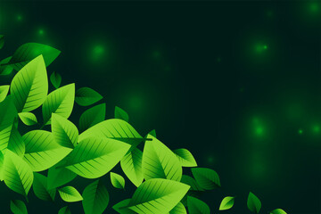 Fototapeta na wymiar eco green leaves on bokeh background