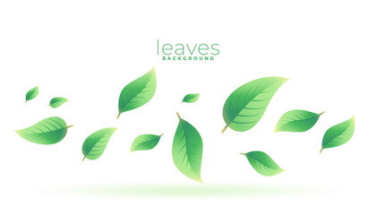 green tea leaves falling background design