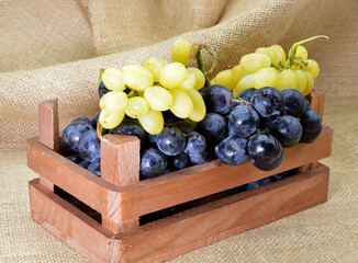 still life with grapes on  wooden box