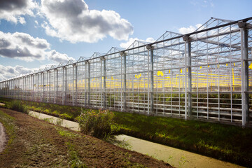 Greenhouse exterior under a sky with nice clouds in Westland in the Netherlands