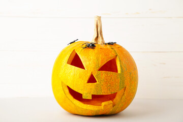 Halloween pumpkin with spiders on white background with copy space