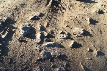 stones on the ground near the road lit by the sun