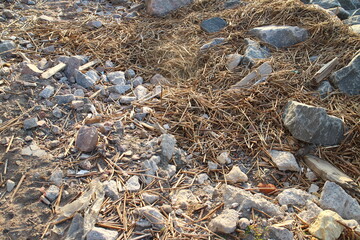 stones on the ground near the road lit by the sun