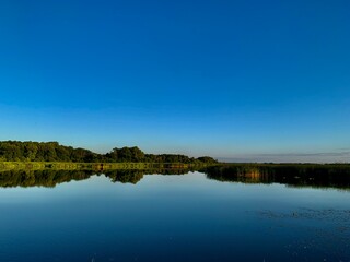 reflection of trees in water