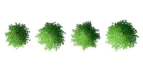Set of Top view of 3D Green trees isolated on white background