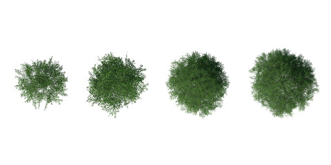 Collection Top view of 3D Green trees isolated on white background