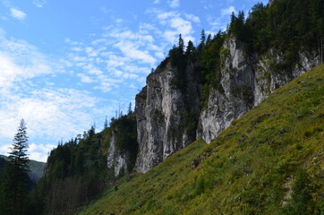 Tatry - formacje skalne w Dolnie Chochołowskiej latem, polska