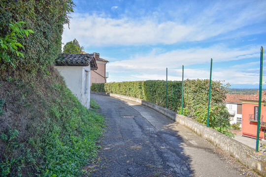 strada con siepi e pozzo in casotto