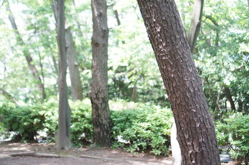 태종대 곳곳 모습들