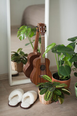 brown wooden ukulele guitar with green potted plants at home, urban jungle concept