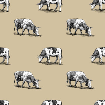 Domestic cows seamless pattern hand drawn in a graphic style. Vintage digital engraving illustration for poster, web, packaging, branding, flyer, print. Isolated on pastel background