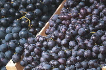 Delicious autumn harvest of fruit - red and white table grapes on the farmer's market