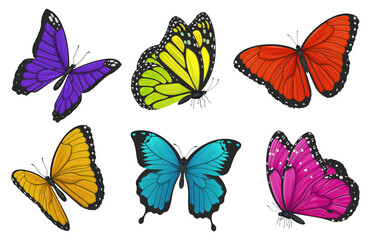 Set of colorful butterflies. Vector illustration.